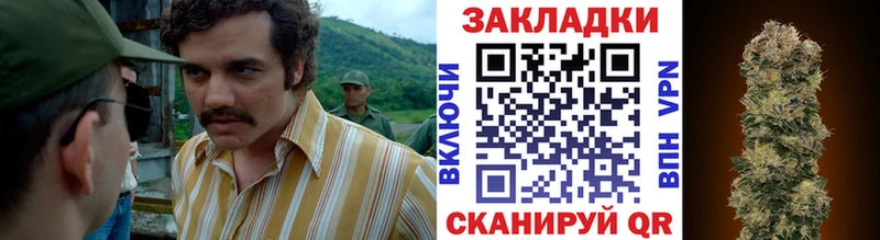 Как найти наркотики Димитровград ГАШ  Конопля  Кокаин  A-PVP  АМФ  Меф мяу мяу 