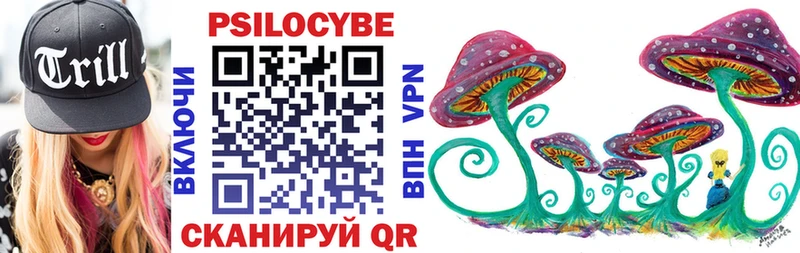 Галлюциногенные грибы Psilocybine cubensis  дарнет шоп  Димитровград 