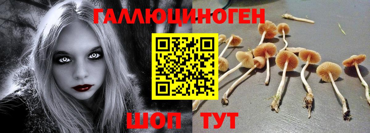 Димитровград  Галлюциногенные грибы мицелий  Вход с VPN 