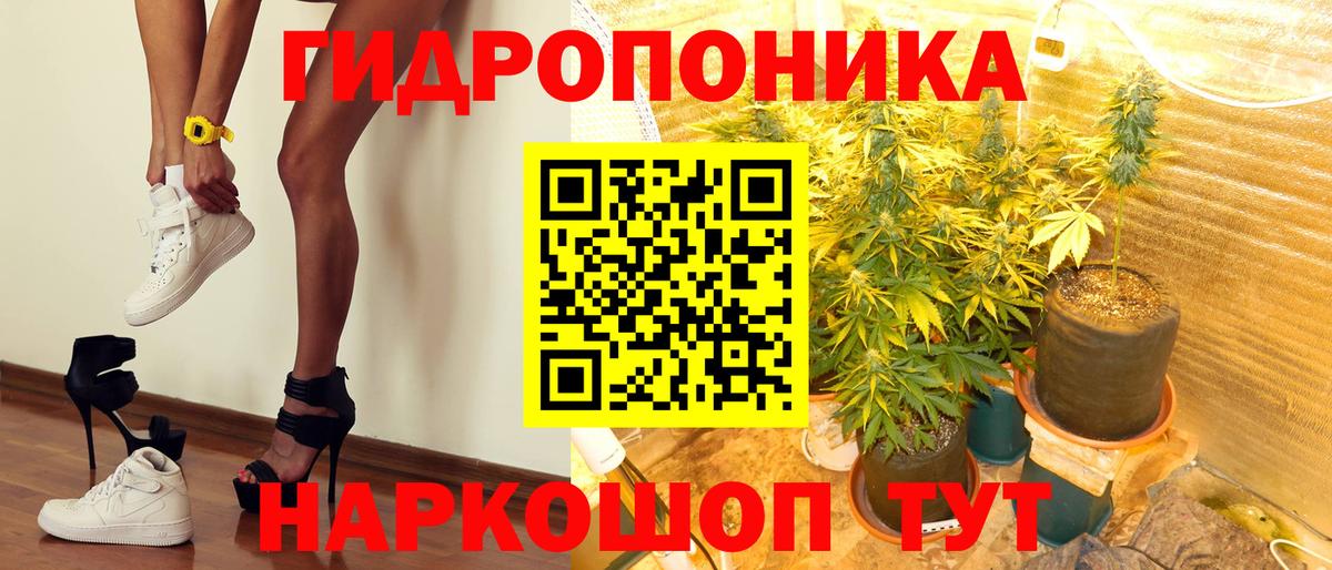 Димитровград  Марихуана индика  Канабис White Widow  Вход с VPN  Конопля конопля 